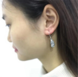 925 Silver Wealth Pixiu Drop Earrings Good Luck Piyao Women Earrings