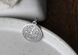 925 Silver Pixiu Pendant 925 Sterling Good Luck Pixiu Charm Pendant