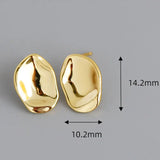 925 Silver Sea Shell Stud Earring for Women