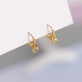 925 Silver Zirconia Hoop Earring for Women