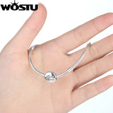 925 Silver Charm Beads CZ Fit WST Bracelet Bangle DIY Jewelry