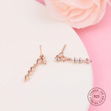 925 Silver Rose Sparkling Herbarium Cluster Drop Earrings