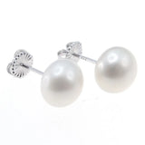 Freshwater Pearl Earrings 925 Sterling Silver Stud 10.0-10.5mm