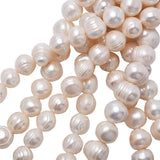 11-12mm Freshwater Cultured Pearl for Jewelry Making DIY Necklace Bracelet