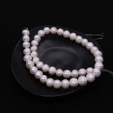 Freshwater Pearl Threaded Loose Beads DIY Necklace Accessories