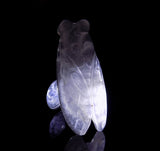 Natural Albite Jade Pendant Shuimo Jade Carved Cicada Pendant Necklace