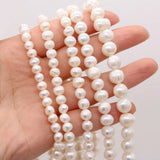 Freshwater Pearl Beads for Jewelry - White Natural Pearls 6mm-7mm