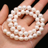 Natural Freshwater Pearl High Round Beaded for Jewelry Making