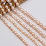 Natural Freshwater Pearls 5-10mm Pink Rice Shape Beads For Jewelry Making