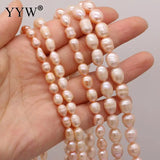 Natural Freshwater Pearls 5-10mm Pink Rice Shape Beads For Jewelry Making
