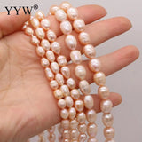 Natural Freshwater Pearls 5-10mm Pink Rice Shape Beads For Jewelry Making
