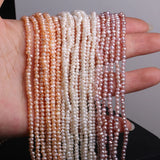 100% Natural Freshwater Pearls Beads 2-3mm Strand 14''
