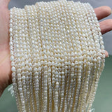 Natural Freshwater Pearls Beads Rice-shaped for DIY Jewelry Making