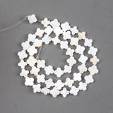 Natural Mother Of Pearl Shell Clover Beads 6-14mm