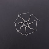 100 PCS Mix Style Stainless Steel Ear Wire Woman