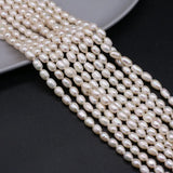 Freshwater Pearls Rice Beads Strand 5-6 mm For Jewelry Making