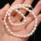 Freshwater Pearls Rice Beads Strand 5-6 mm For Jewelry Making
