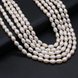 Freshwater Pearls Rice Beads Strand 5-6 mm For Jewelry Making