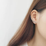 S925 Silver Star Moon Zircon Earrings