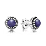S925 Sterling Silver Zircon Stud Earrings - 12 Colors