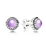 S925 Sterling Silver Zircon Stud Earrings - 12 Colors