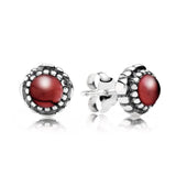 S925 Sterling Silver Zircon Stud Earrings - 12 Colors