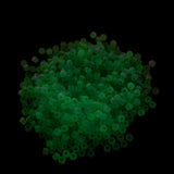 1000Pcs UV Bead Change UV Reactive Plastic Pony Beads