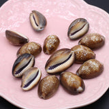 100G Brown Snail Shell Beads for DIY Jewelry Making
