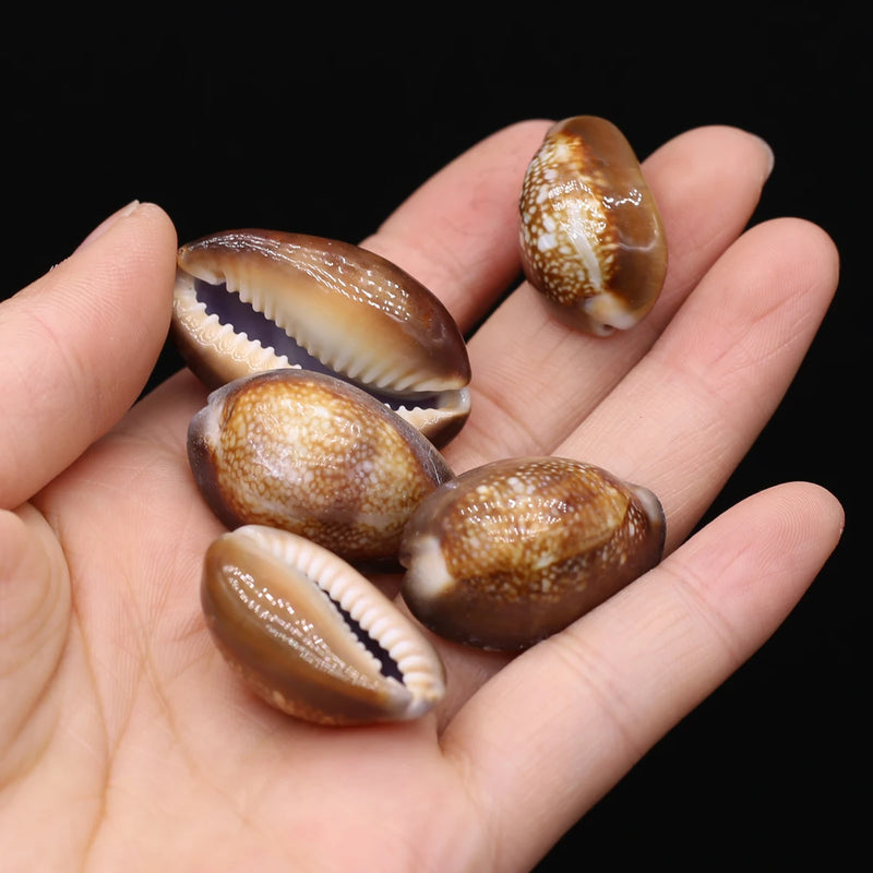 100G Brown Snail Shell Beads for DIY Jewelry Making