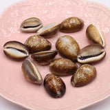 100G Brown Snail Shell Beads for DIY Jewelry Making
