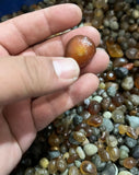 100G Raw Gemstone Natural Alxa Gobi Agate Sugar Heart Vein Stone