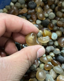 100G Raw Gemstone Natural Alxa Gobi Agate Sugar Heart Vein Stone