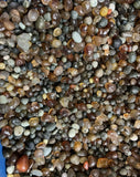 100G Raw Gemstone Natural Alxa Gobi Agate Sugar Heart Vein Stone