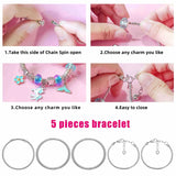 100Pcs European Beads Dangle Charms Kit in Box - DIY Jewelry for Bracelet