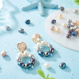 100Pcs Mixed Shape Natural Freshwater Pearl Beads for DIY Jewelry Making