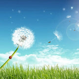 100Pcs Dandelion Seed Glass Ball Resin Wish Earrings Necklace Making