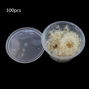 100Pcs Dandelion Seed Glass Ball Resin Wish Earrings Necklace Making