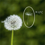 100Pcs Dandelion Seed Glass Ball Resin Wish Earrings Necklace Making