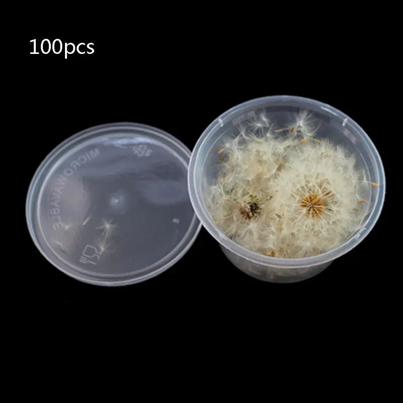 100Pcs Dandelion Seed Glass Ball Resin Wish Earrings Necklace Making