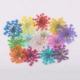 100Pcs Pressed Dried Ammi Majus Flower Resin Nail Craft DIY Decor