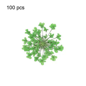 100Pcs Pressed Dried Ammi Majus Flower Resin Nail Craft DIY Decor