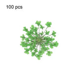 100Pcs Pressed Dried Ammi Majus Flower Resin Nail Craft DIY Decor