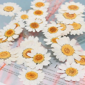 100Pcs Natural Dried Flowers for Resin Nail Stickers
