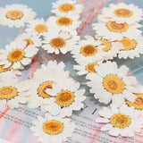 100Pcs Natural Dried Flowers for Resin Nail Stickers