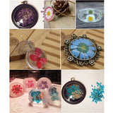 100Pcs Natural Dried Pressed Flowers Daisy Resin Jewelry Nail Stickers