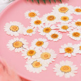 100Pcs Natural Dried Flowers for Resin Nail Stickers