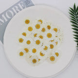 100Pcs Natural Dried Flowers for Resin Nail Stickers