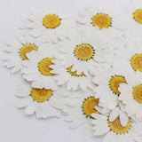 100Pcs Natural Dried Pressed Flowers for Resin Jewelry Nail Art Crafts