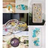 100Pcs Natural Dried Pressed Flowers Daisy Resin Jewelry Nail Stickers