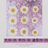 100Pcs Natural Daisy Pressed Flower for Resin Nail Art Jewelry
